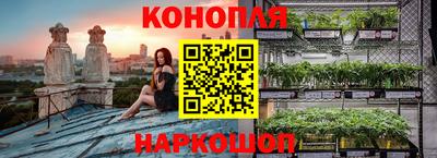 СК Жуковский