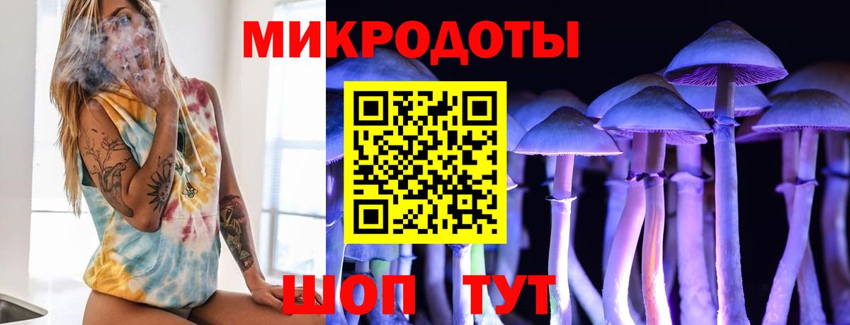 где купить наркоту  Вход с VPN  Курчалой  Псилоцибиновые грибы мухоморы  Псилоцибиновые грибы Psilocybe 