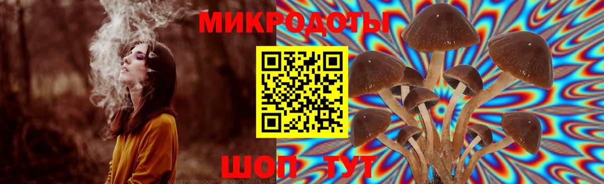 Галлюциногенные грибы Magic Shrooms Курчалой