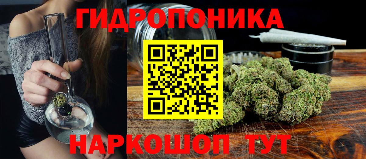 Марихуана Amnesia  Вход с VPN  Марихуана Ganja  Курчалой 